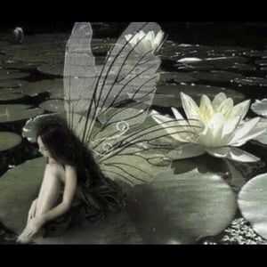 Meet your Posher, Hana